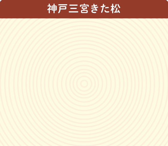 神戸三宮きた松